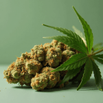 Nio stock price forecast as a rare bearish chart pattern emerges